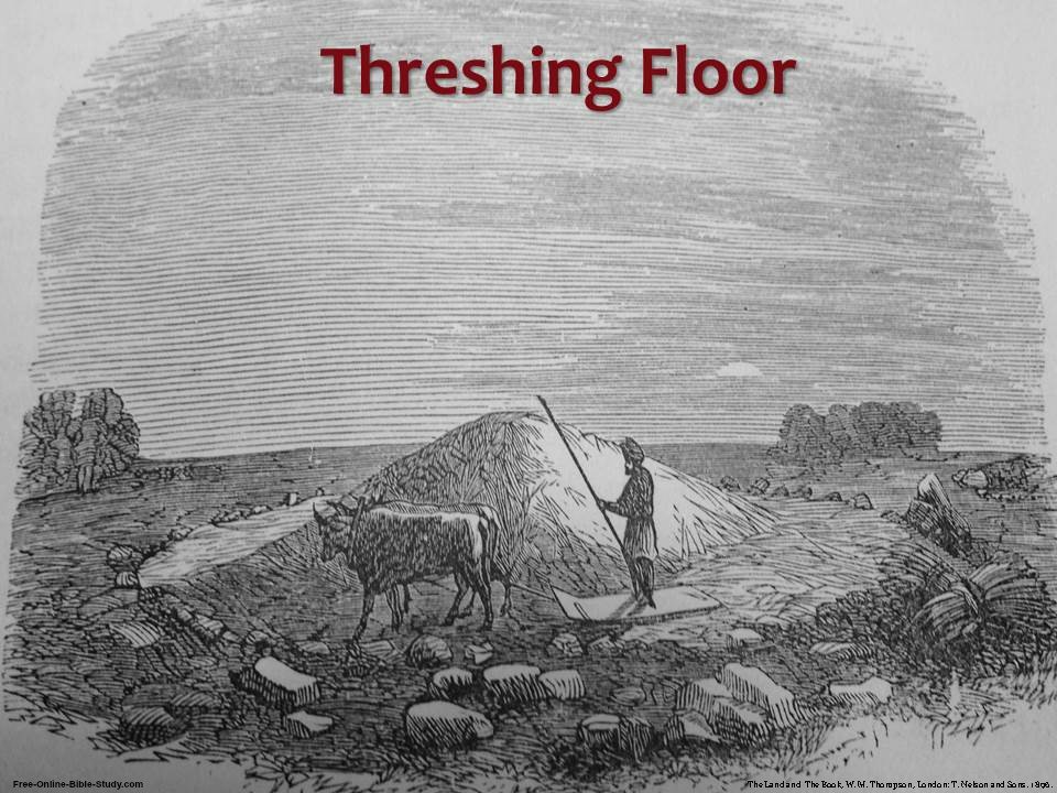 Threshing Floor